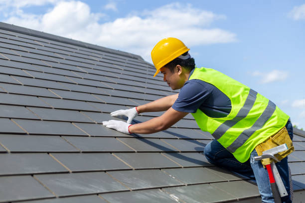 Best Residential Roofing Contractor  in College, AK