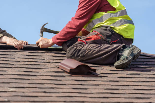 Roof Gutter Cleaning in College, AK