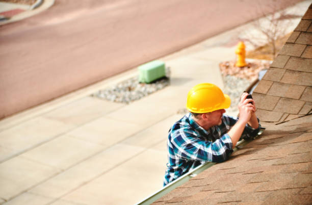 Best Metal Roofing Contractor  in College, AK