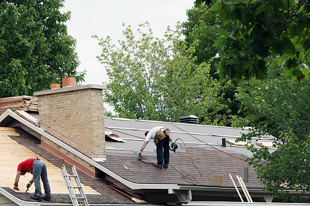 Best Best Roofing Contractors  in College, AK