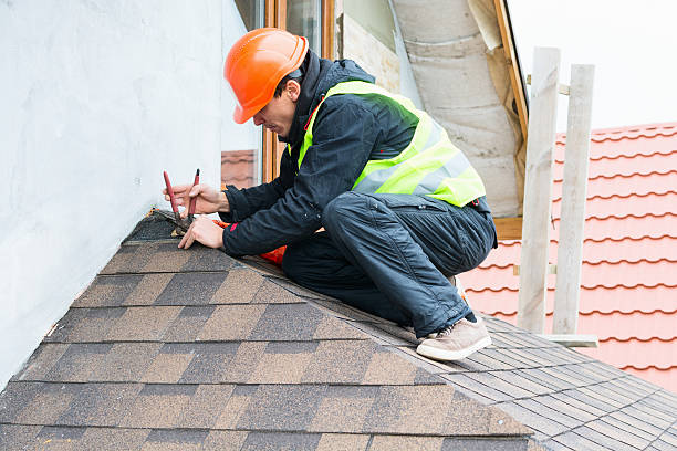 Best Roof Leak Repair  in College, AK
