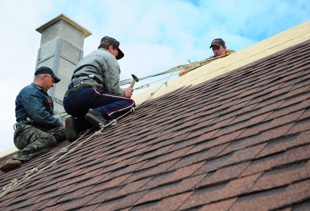 Best Emergency Roof Repair  in College, AK