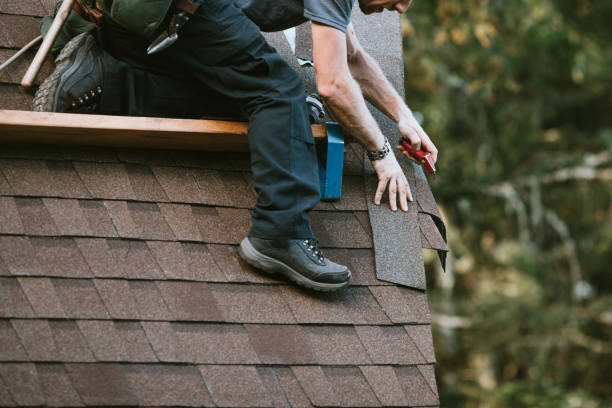 Best New Roof Installation  in College, AK