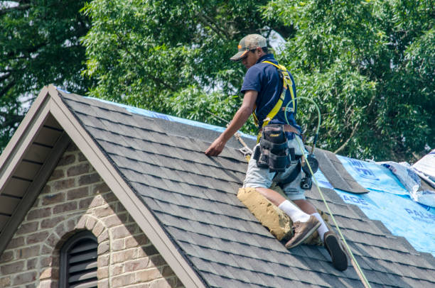 Best Roof Gutter Cleaning  in College, AK